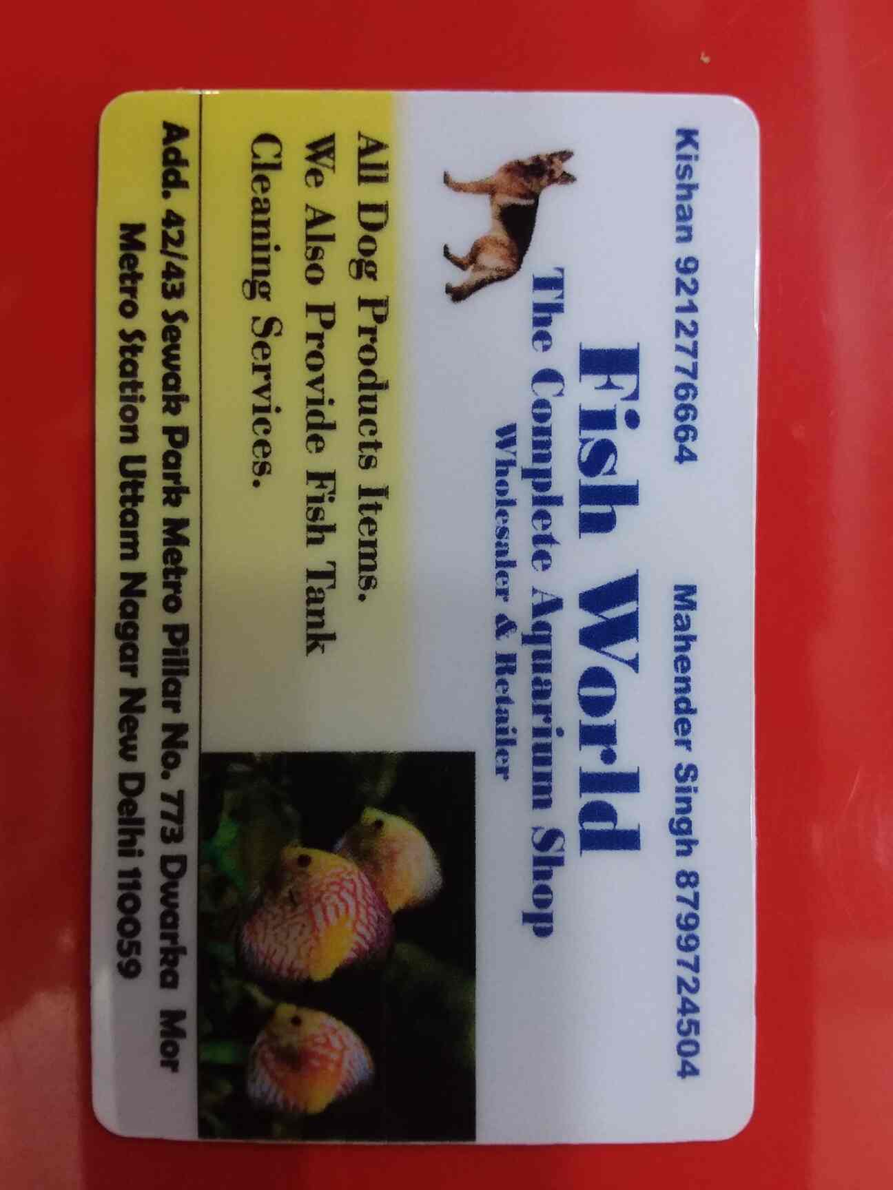 Aquarium Shop Dwarka