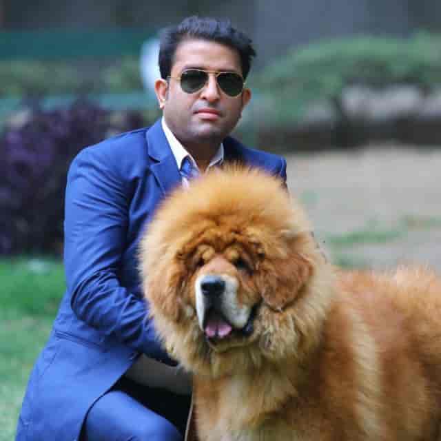 Dogs and Cats Clinic in Chittaranjan Park Delhi Best Pet