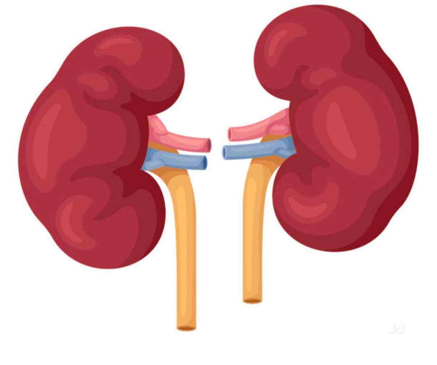 Top Nephrologists in Rohini Avantika, Delhi - Best Kidney Specialist
