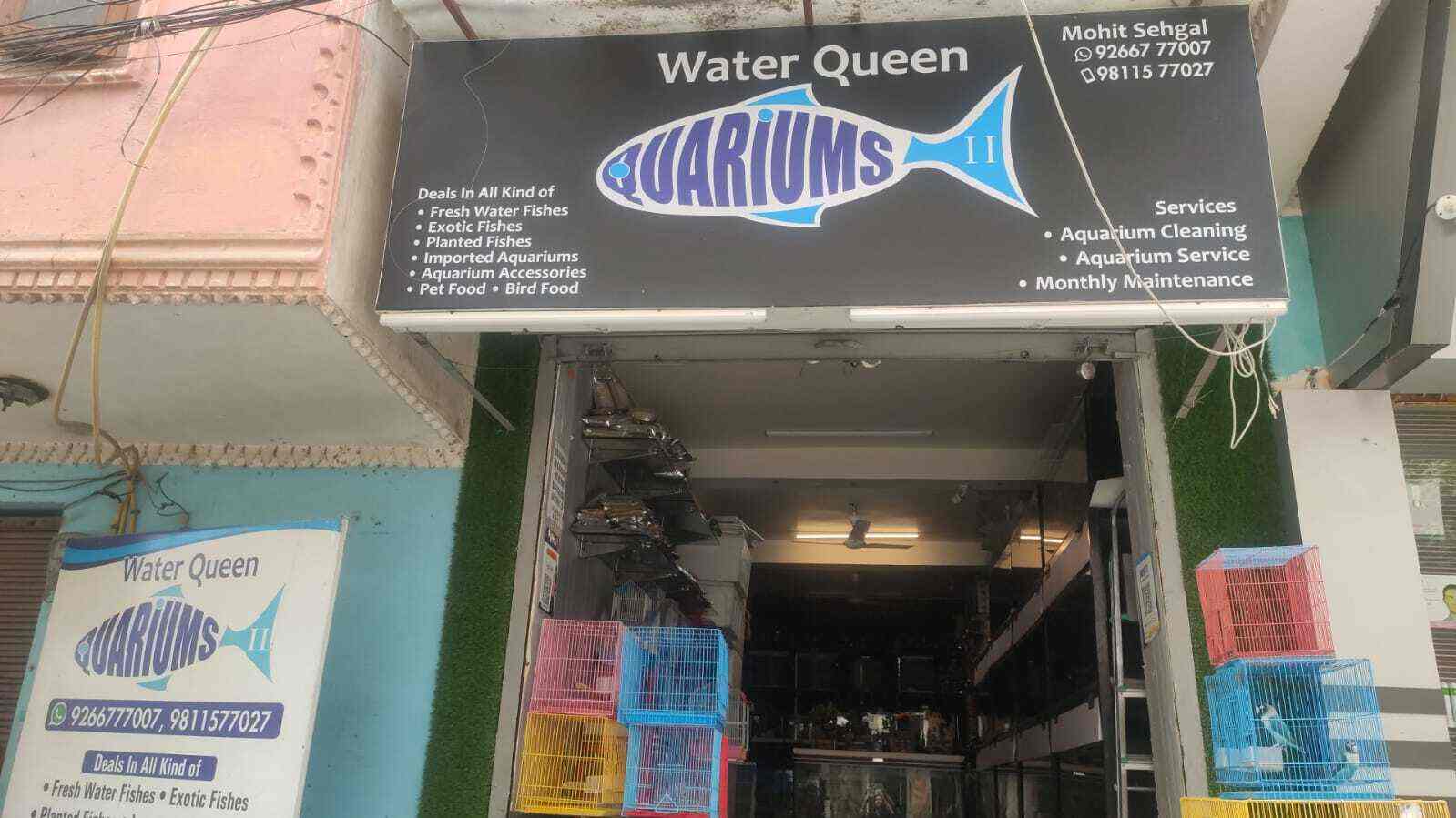 Waterqueen Quariums 2 in Uttam Nagar West,Delhi Best Aquarium Fish