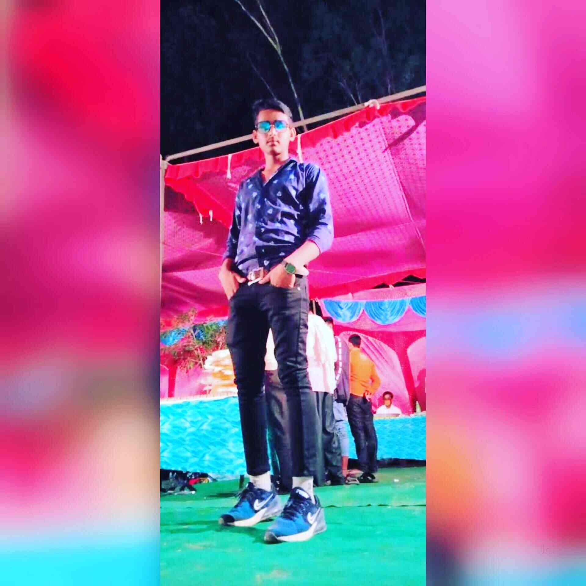 Top Goodies Dog Food Wholesalers in Delhi डॉग फ़ूड व्होलेसलेर्स