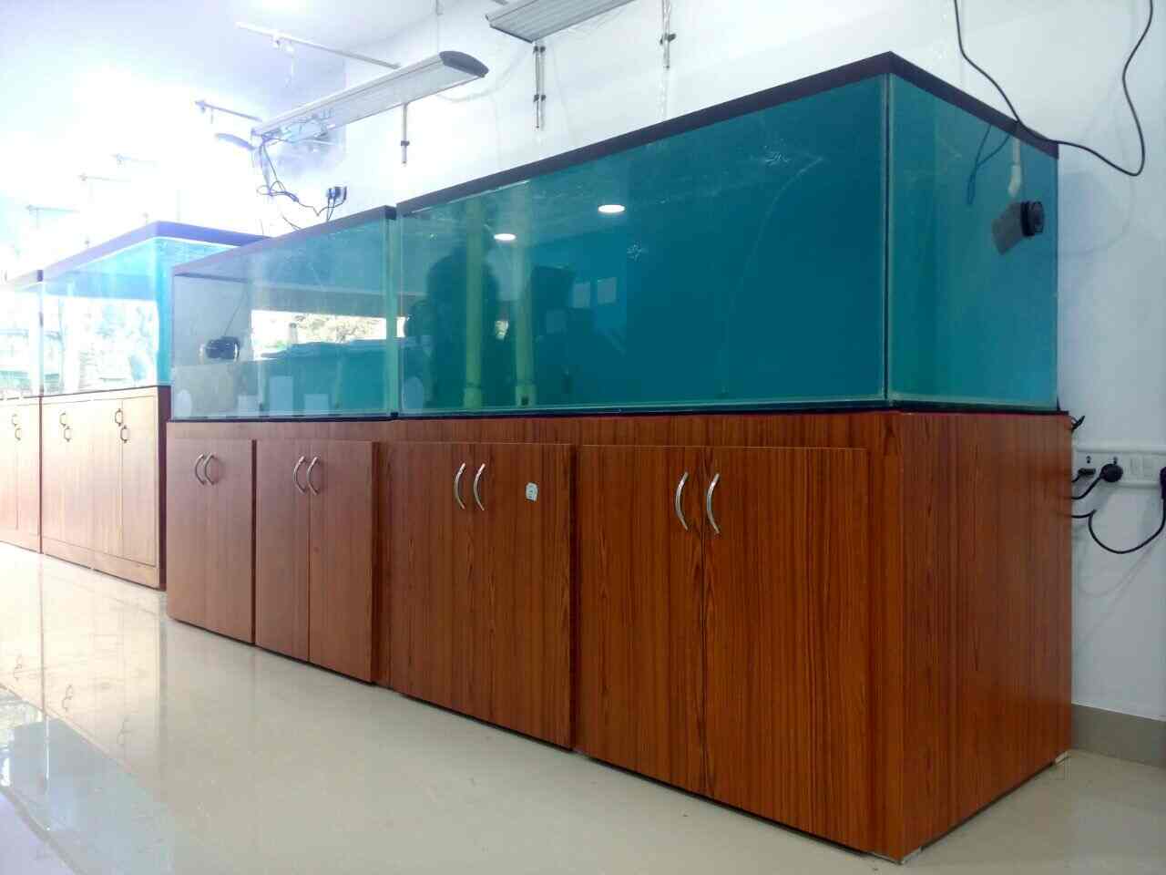 Top Aquarium Consultants in Agra एक्वेरियम कंसल्टेंट्स, आगरा near me