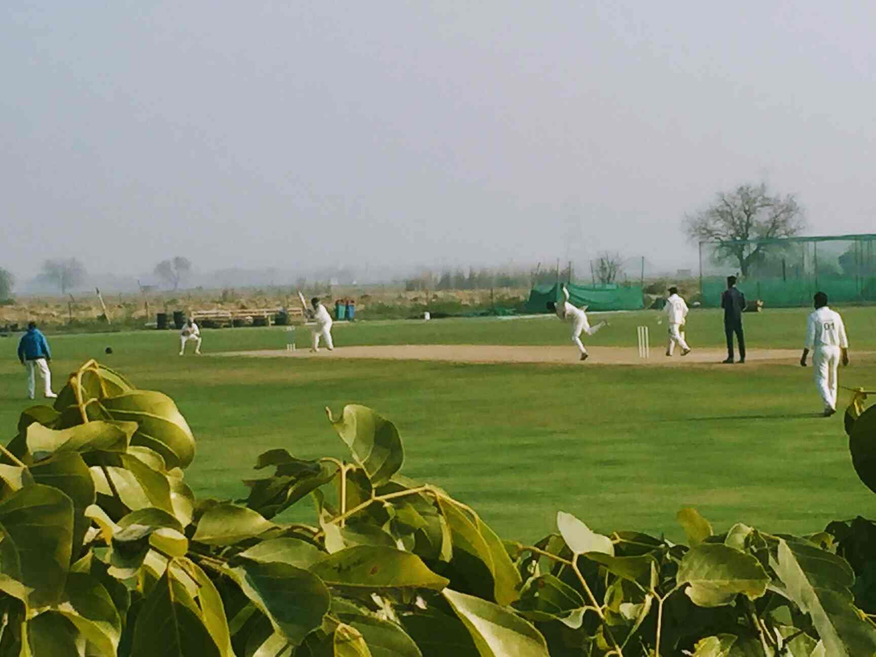Top Cricket Clubs in Nangli DairyNajafgarh, Delhi near me Justdial