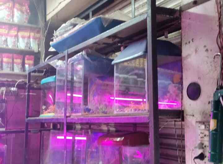 Ocean Fishing in Noida Sector 22,Delhi Best Fishing Equipment Dealers