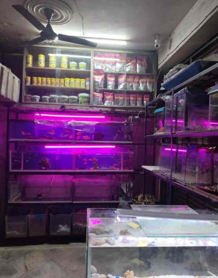 Ocean Fishing in Noida Sector 22,Delhi Best Fishing Equipment Dealers