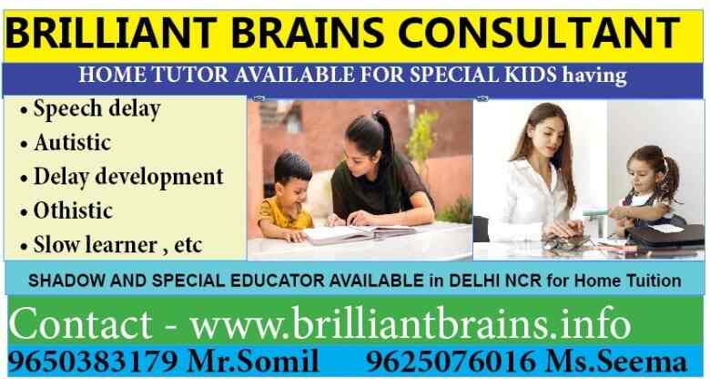 Brilliant Brains Consultant