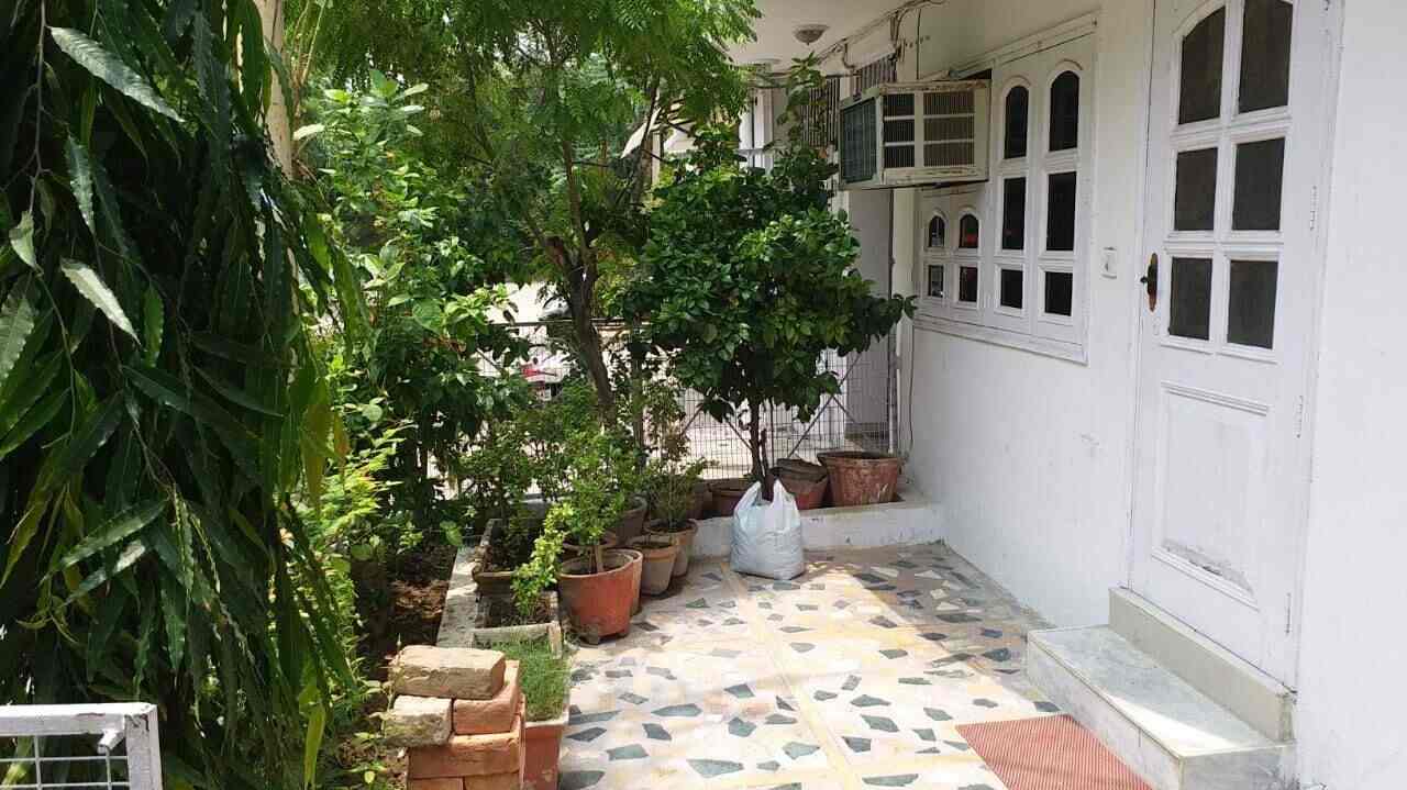 Ojas Ayurveda in Shakti Nagar,Delhi Best Ayurvedic Clinics in Delhi