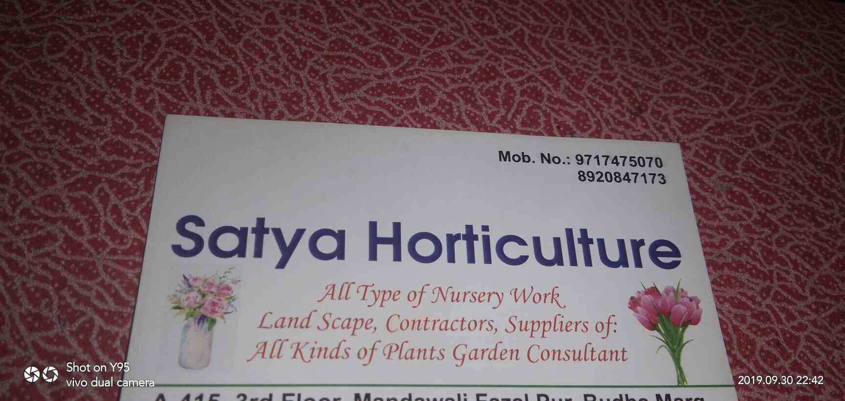 Satya Horticulture in Mandawali,Delhi Best Tree Nurseries in Delhi