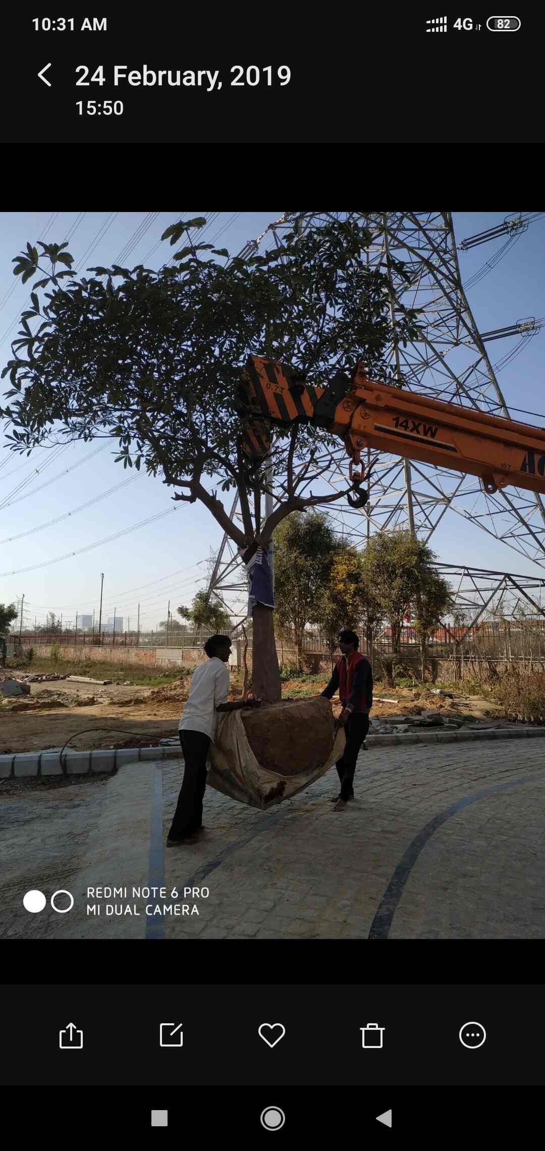 Mohd Tarif Contractor, Sohna Road Plant Nurseries in Gurgaon, Delhi