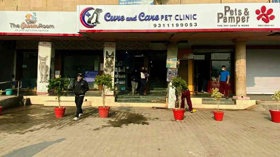 Top Veterinary Clinics in Dwarka Sector 1 Best Clinics For Pets Delhi