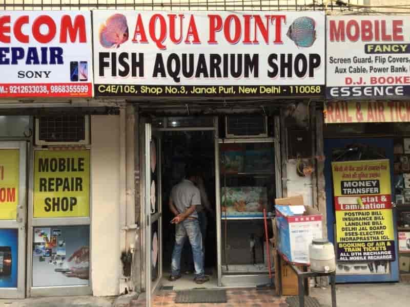 Aqua Point Fish Aquarium Shop in Janakpuri C Block,Delhi Best