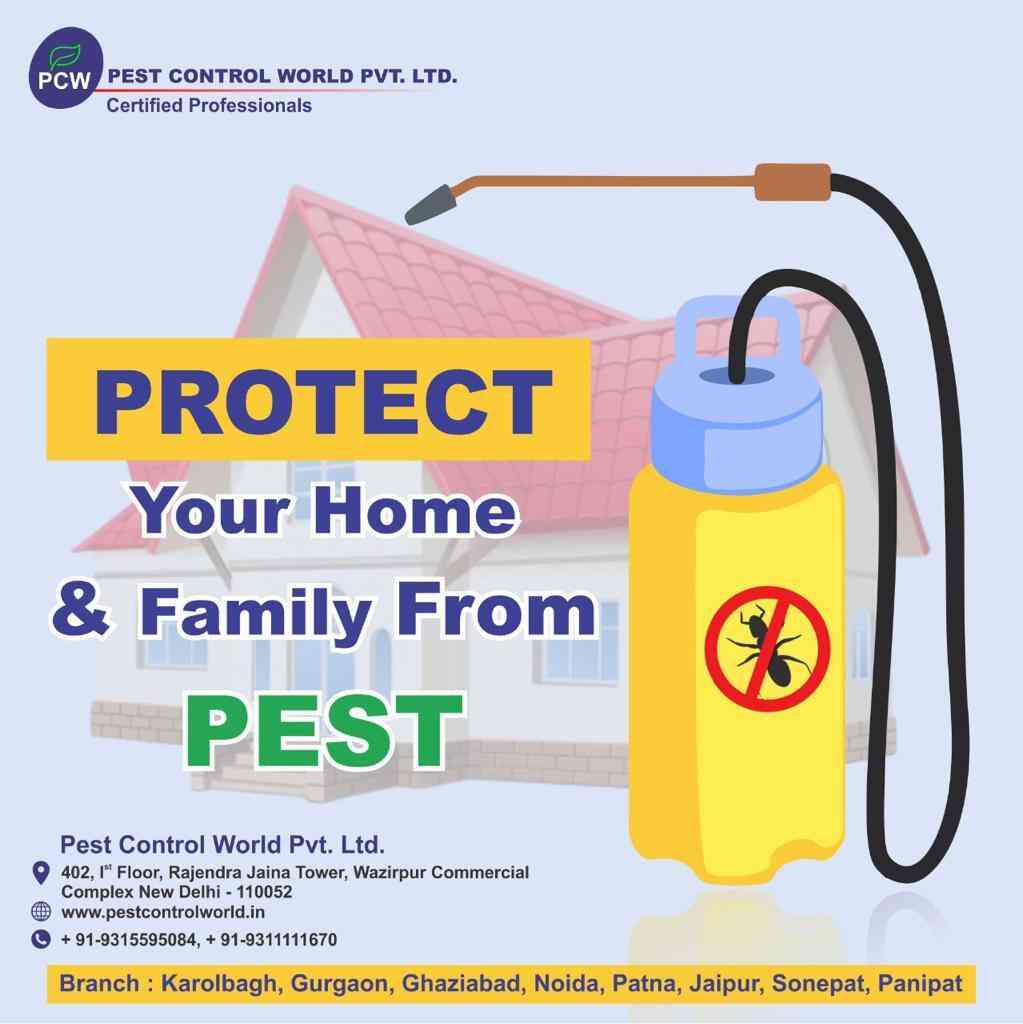 Top Fumigation Pest Control Services in Azadpur Best Fogging Pest