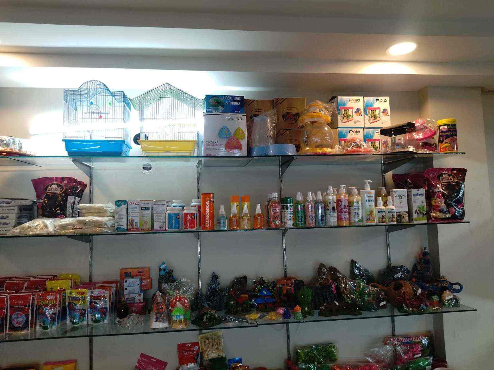 Aquatic Fish Pet Store in New Railway Road,Delhi Best Aquarium Fish