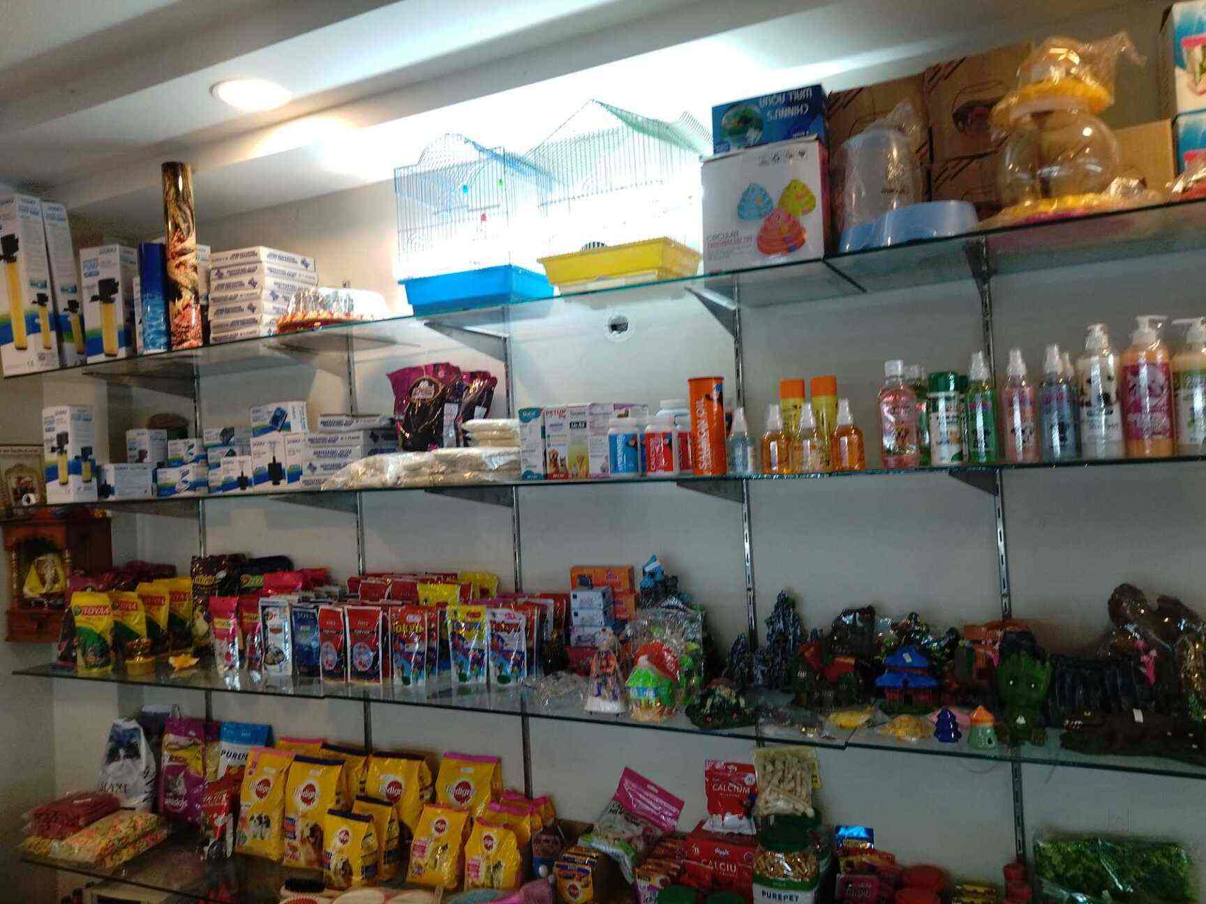 Aquatic Fish Pet Store in New Railway Road,Delhi Best Aquarium Fish