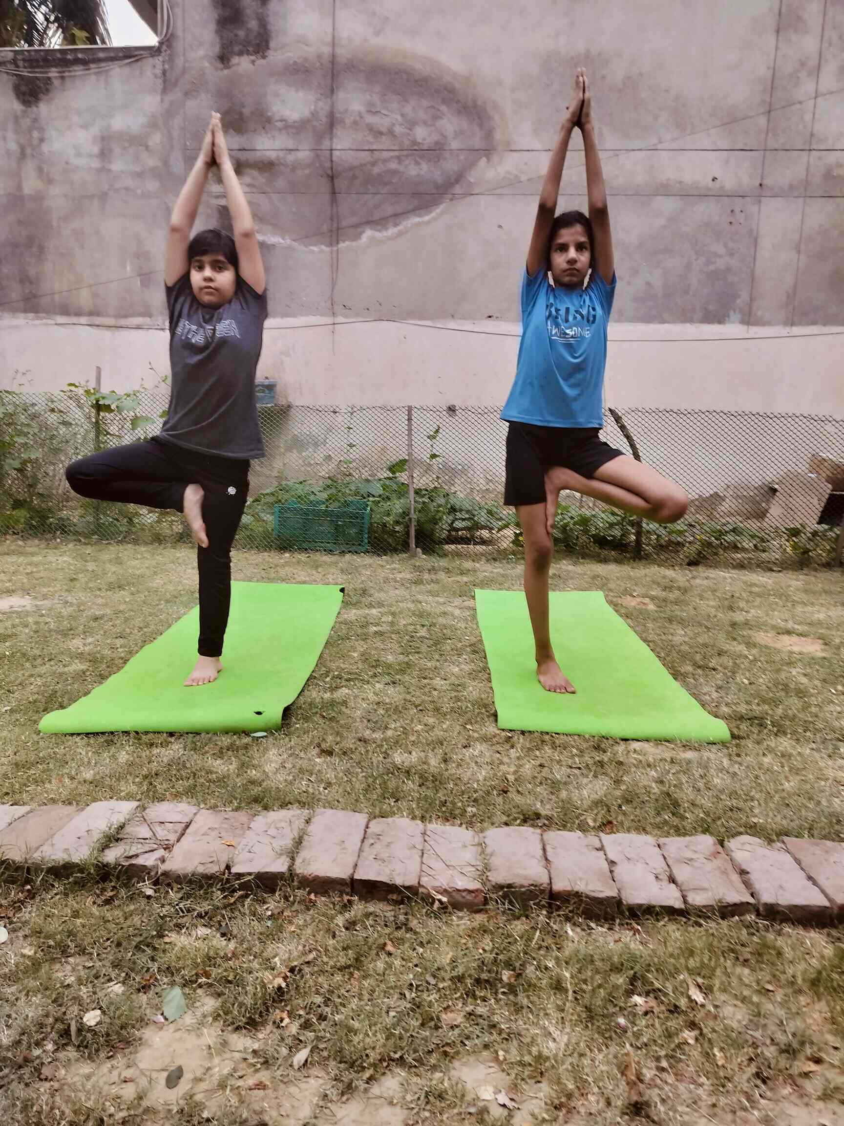 Top Yoga Classes in Gurgaon Sector 23 Best Online Yoga Classes near me Justdial