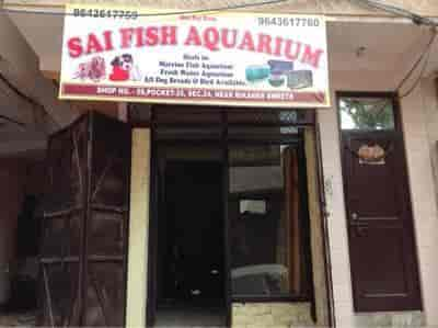 Fish aquarium outlet shop in rohini