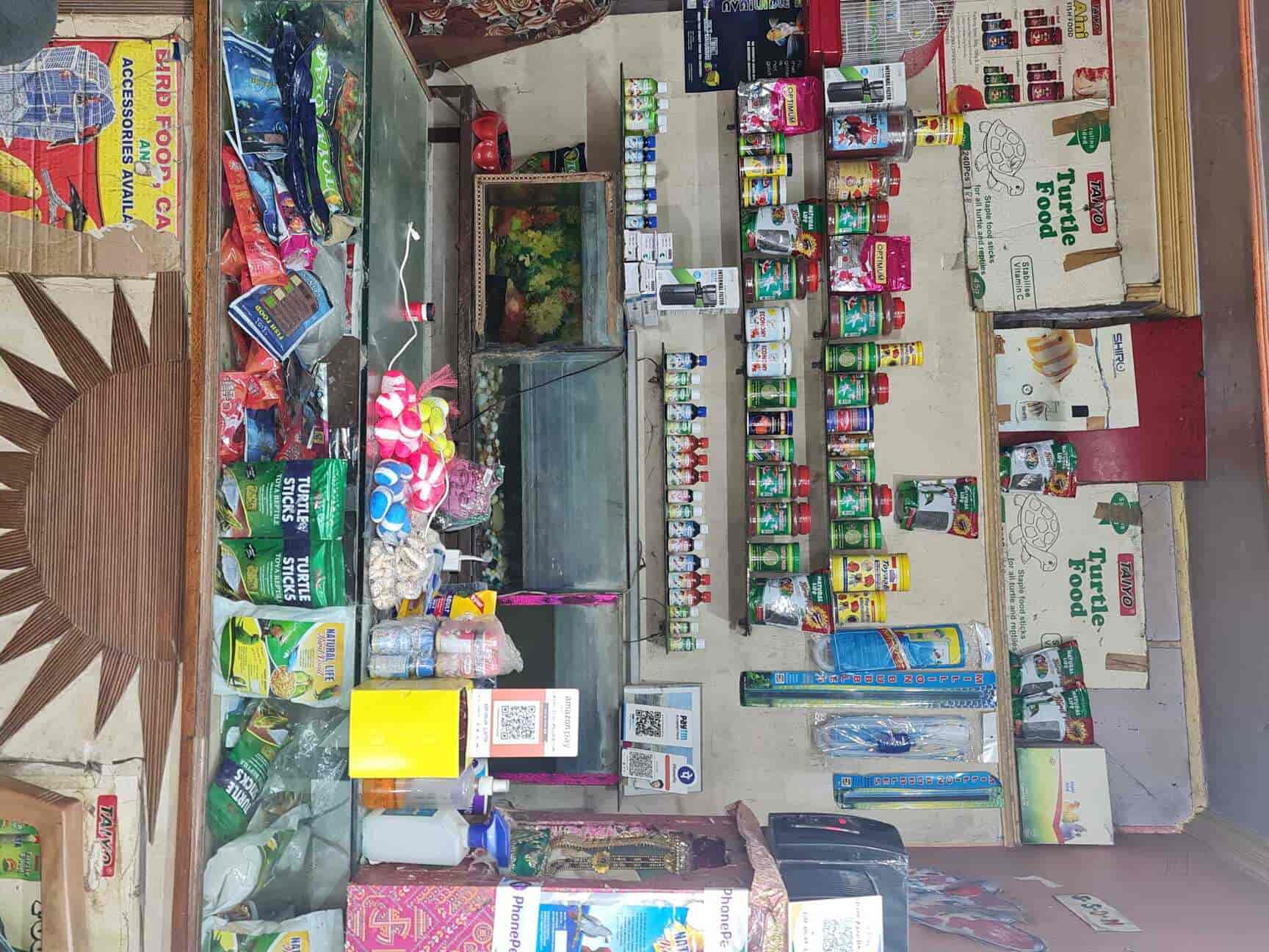Dayal Fish Aquarium in Tilak Nagar,Delhi Best Aquarium Accessory