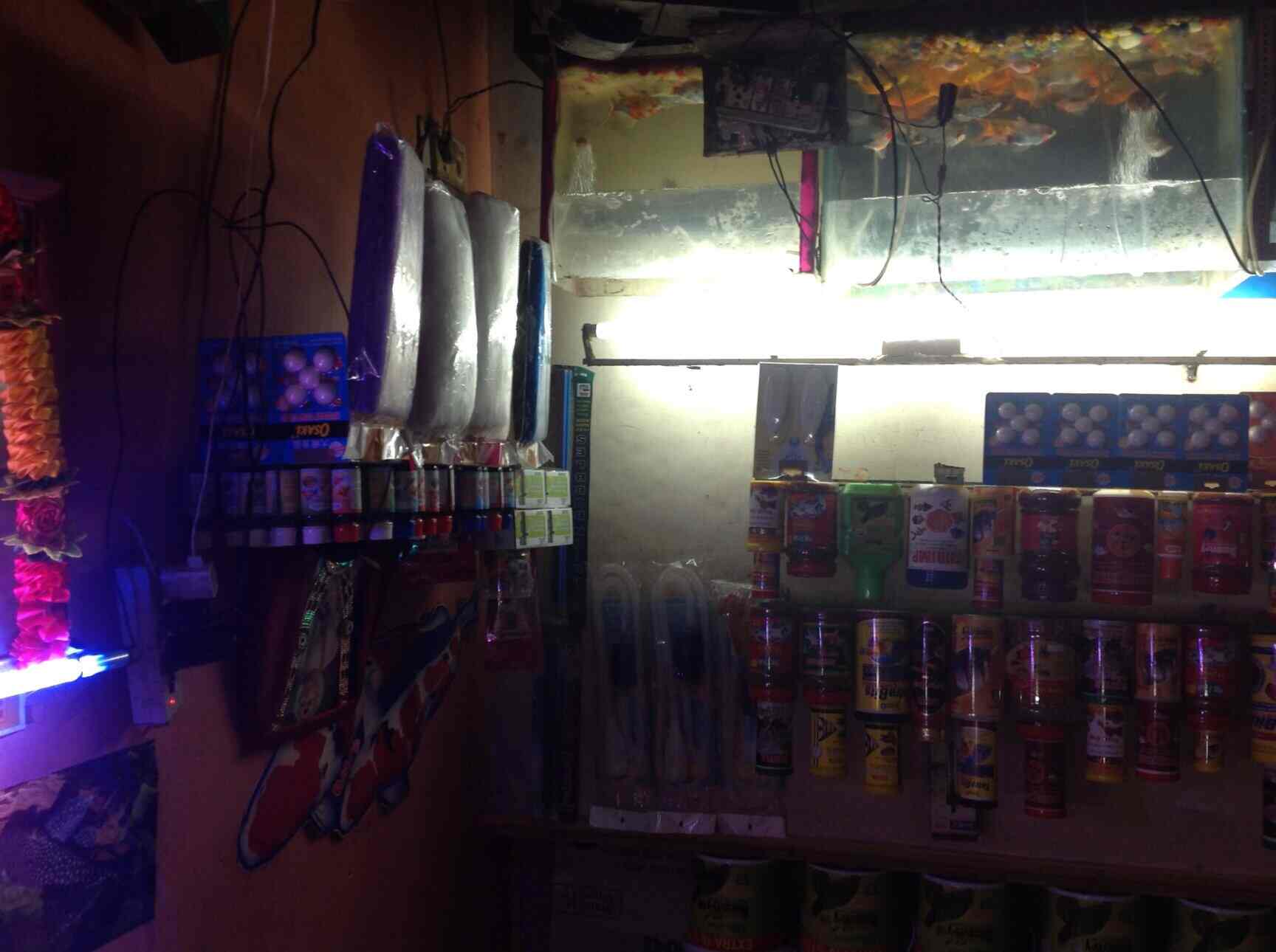 Dayal Fish Aquarium in Tilak Nagar,Delhi Best Aquarium Accessory