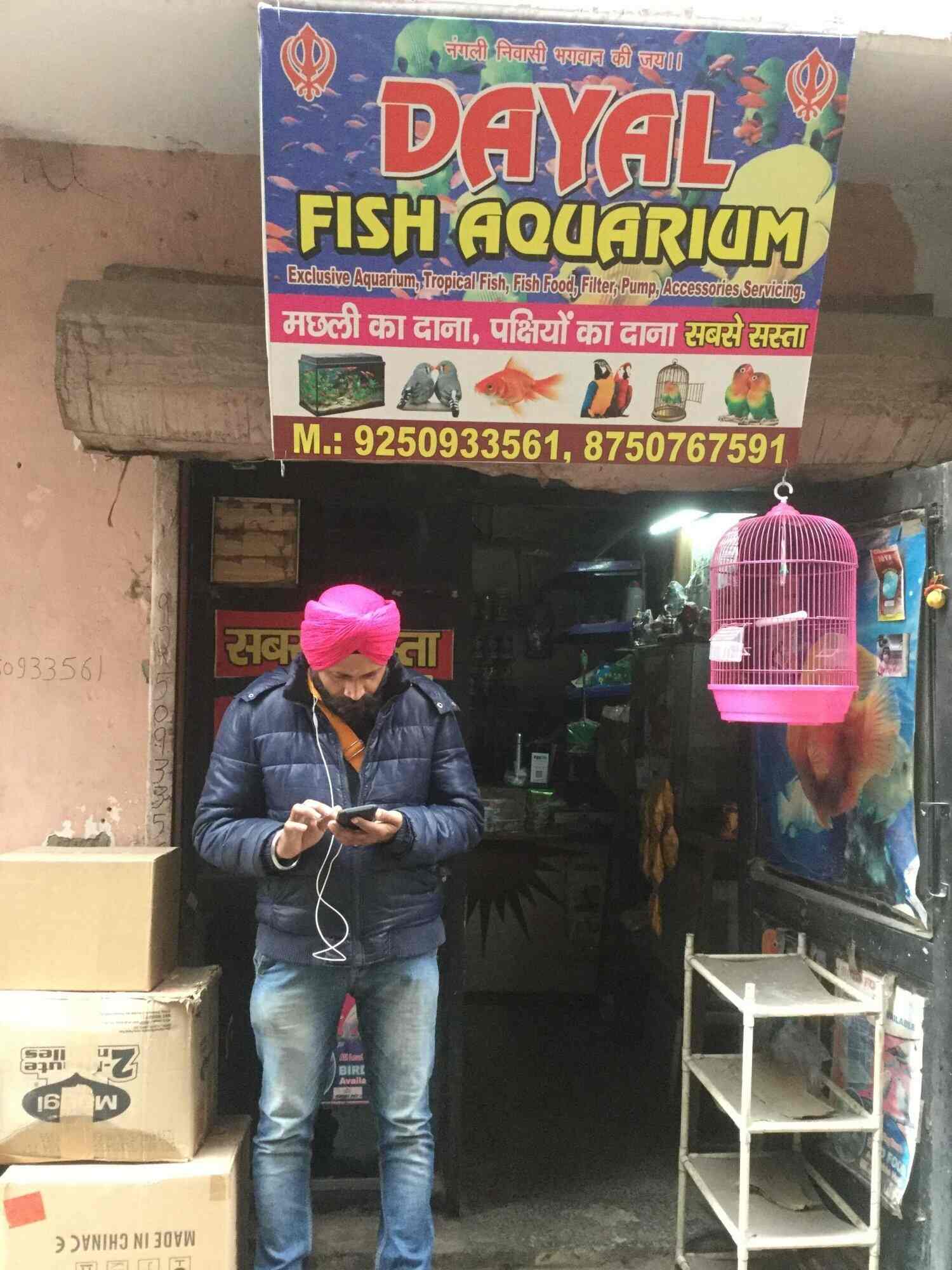 Dayal Fish Aquarium in Tilak Nagar,Delhi Best Aquarium Accessory