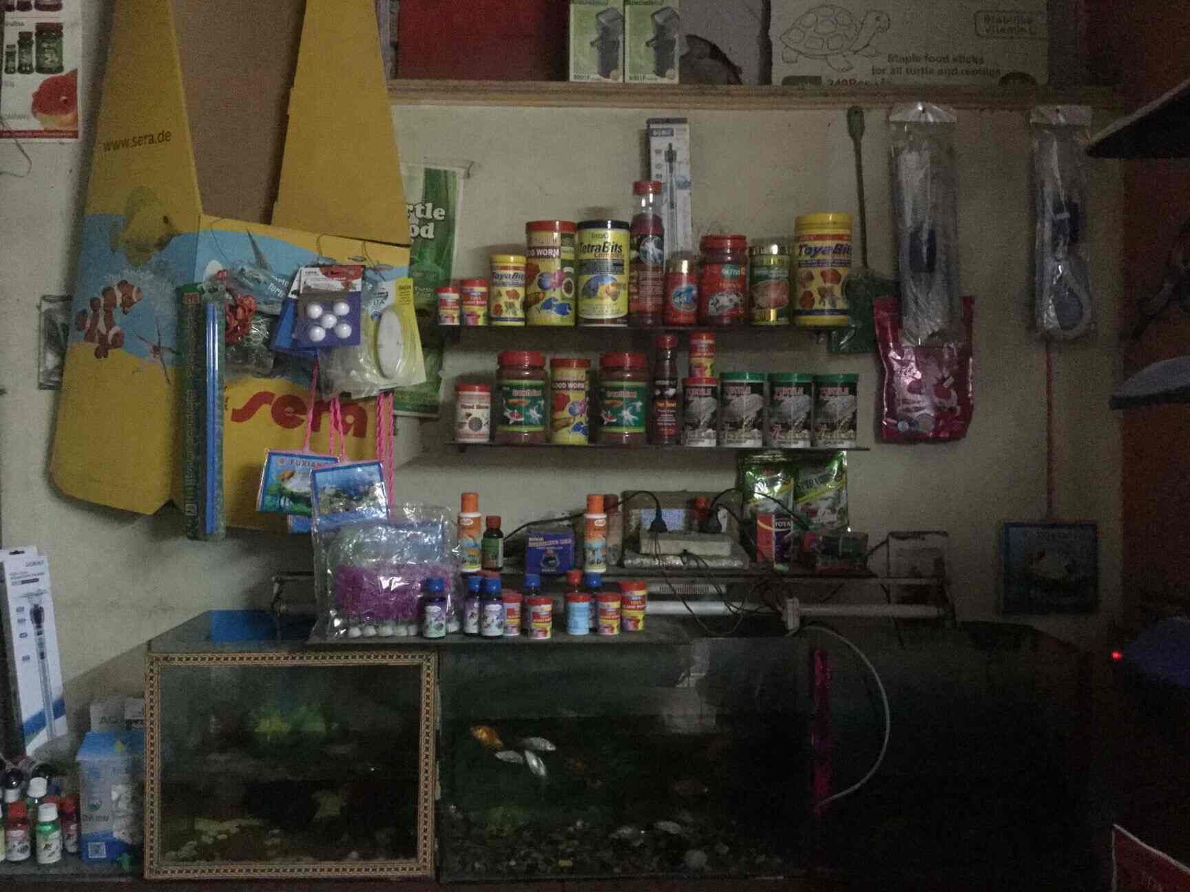 Dayal Fish Aquarium in Tilak Nagar,Delhi Best Aquarium Accessory