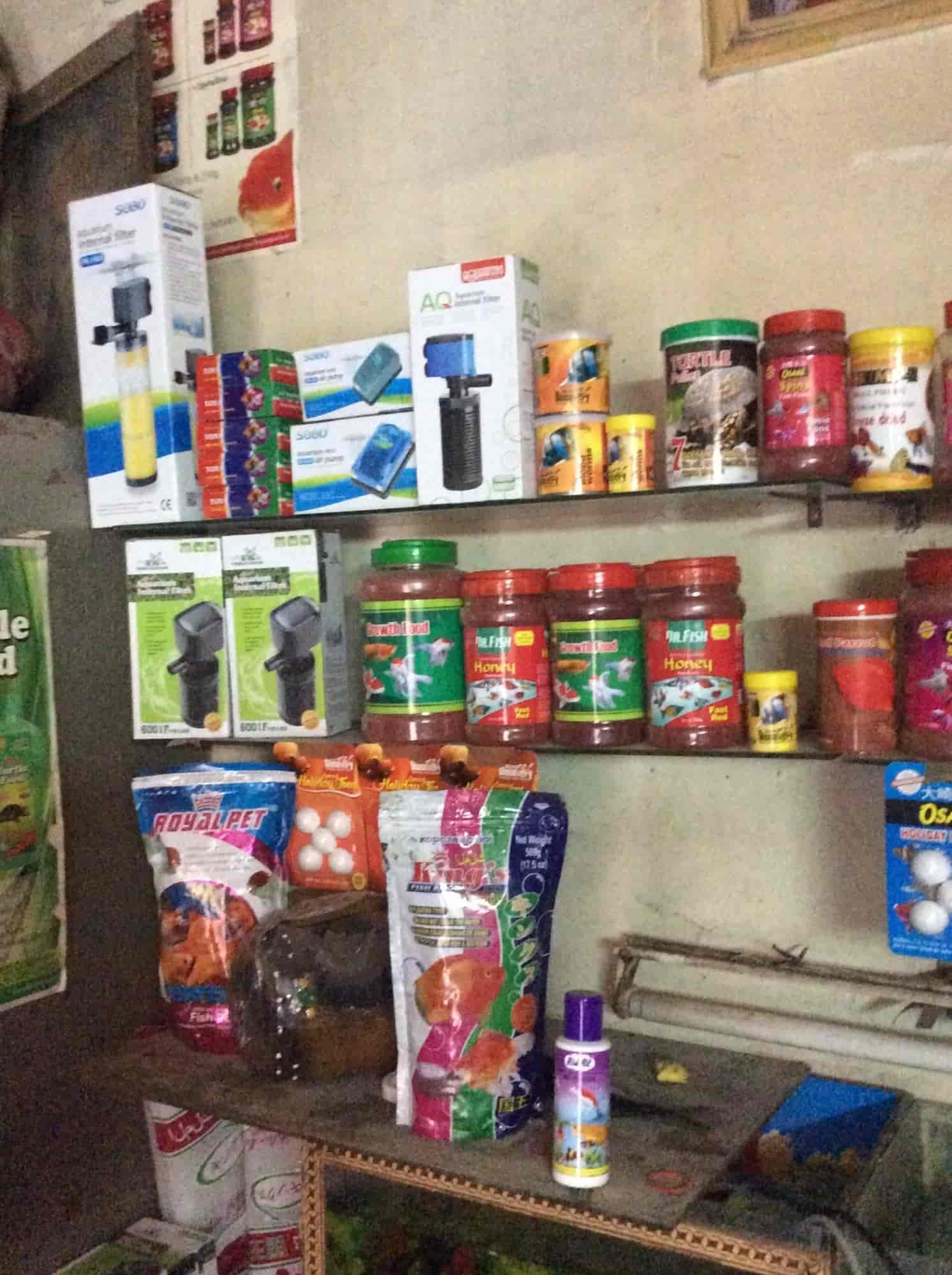 Dayal Fish Aquarium in Tilak Nagar,Delhi Best Aquarium Accessory