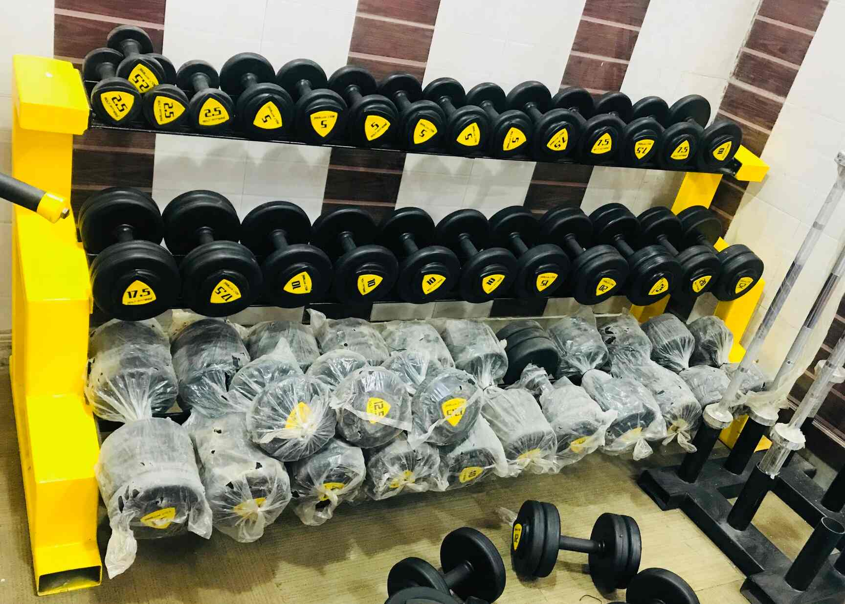 Fitness First in Delhi Best Gyms in Delhi Justdial