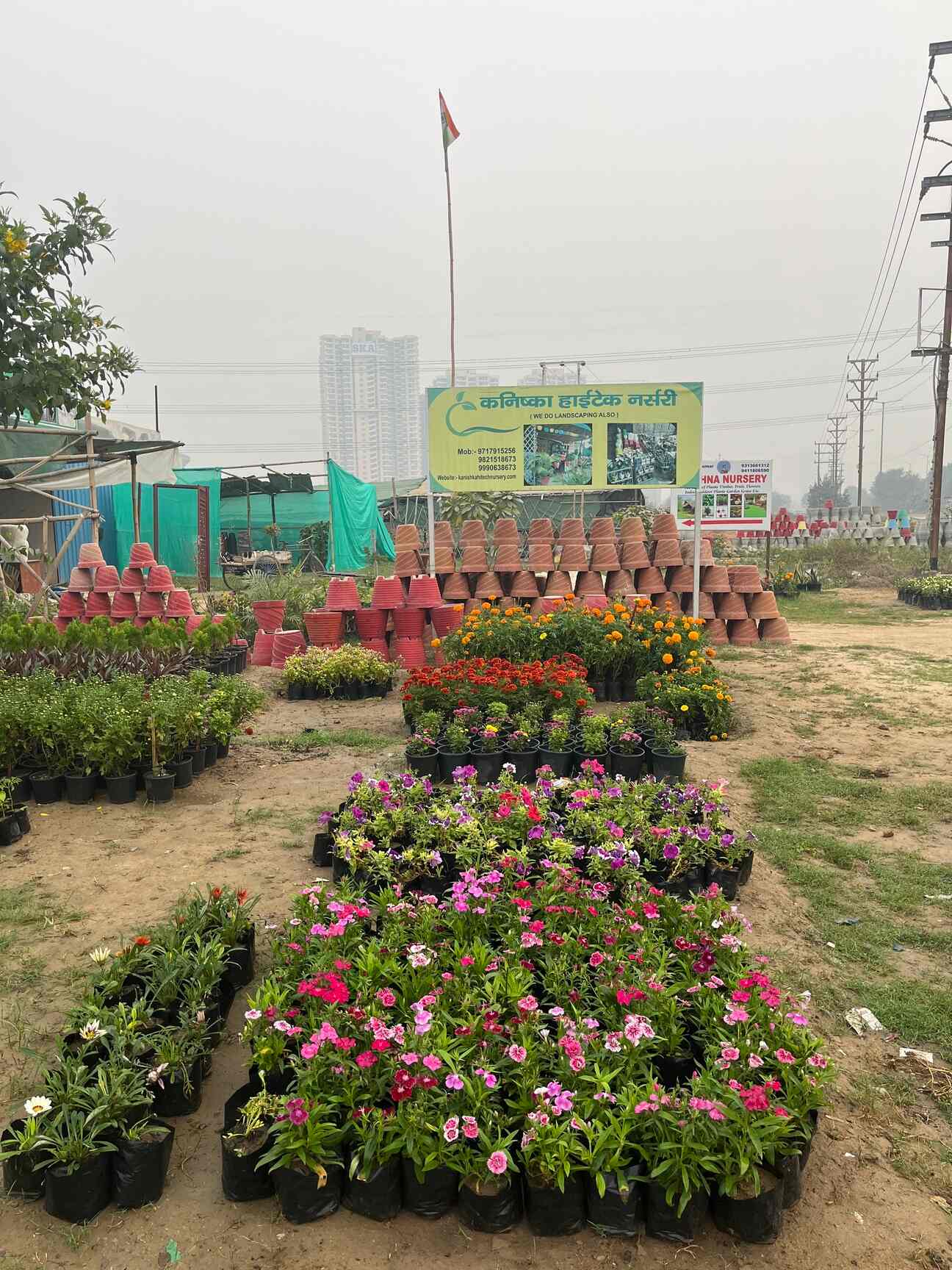 Top Plant Nurseries in Beta 1Greater Noida,Delhi Best Government