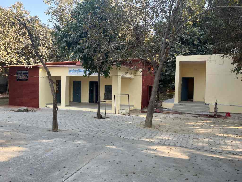 Top Public Veterinary Hospitals in Noida Sector 94 Best Government