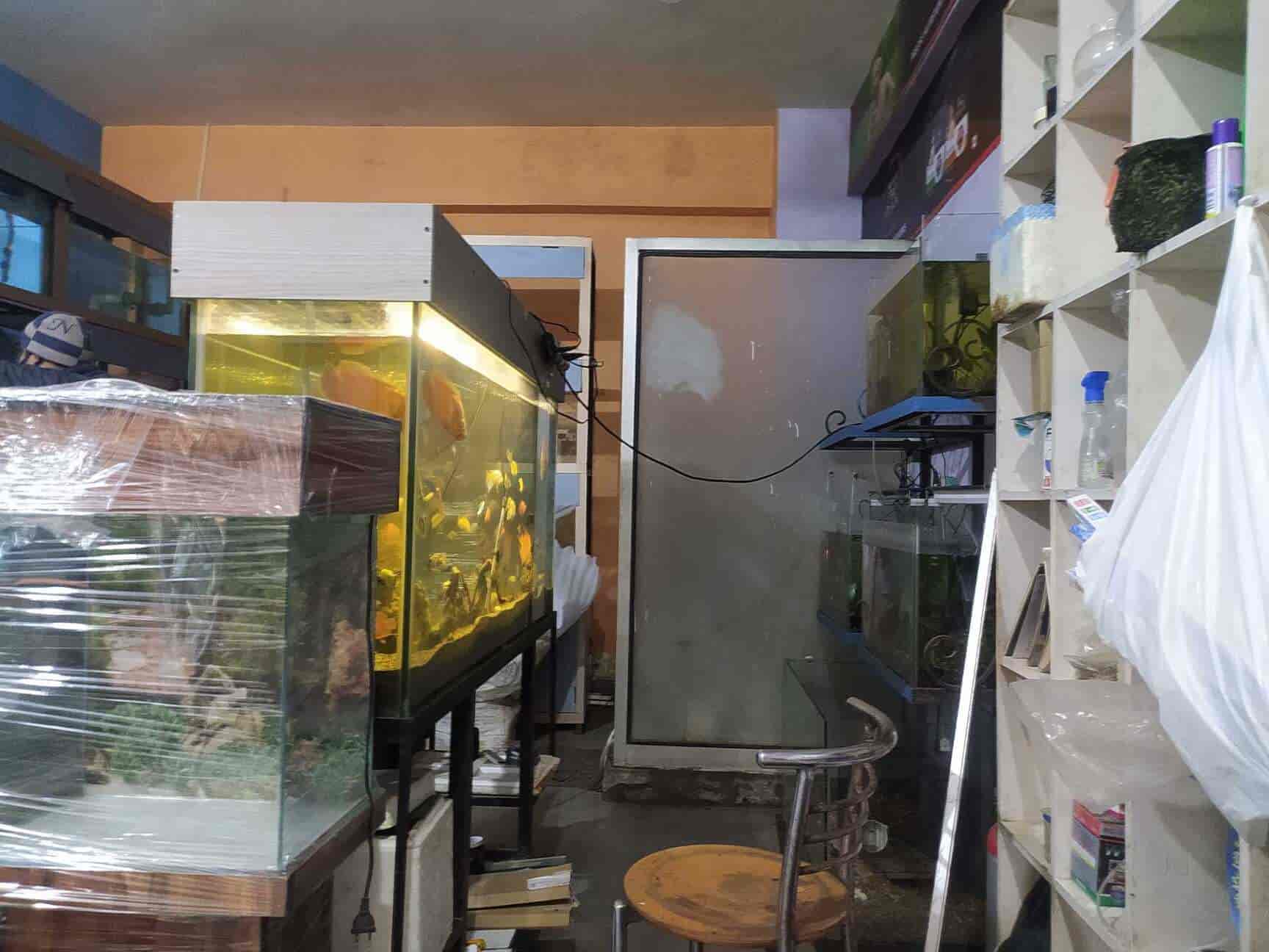 Top Aquarium Consultants in Agra एक्वेरियम कंसल्टेंट्स, आगरा near me