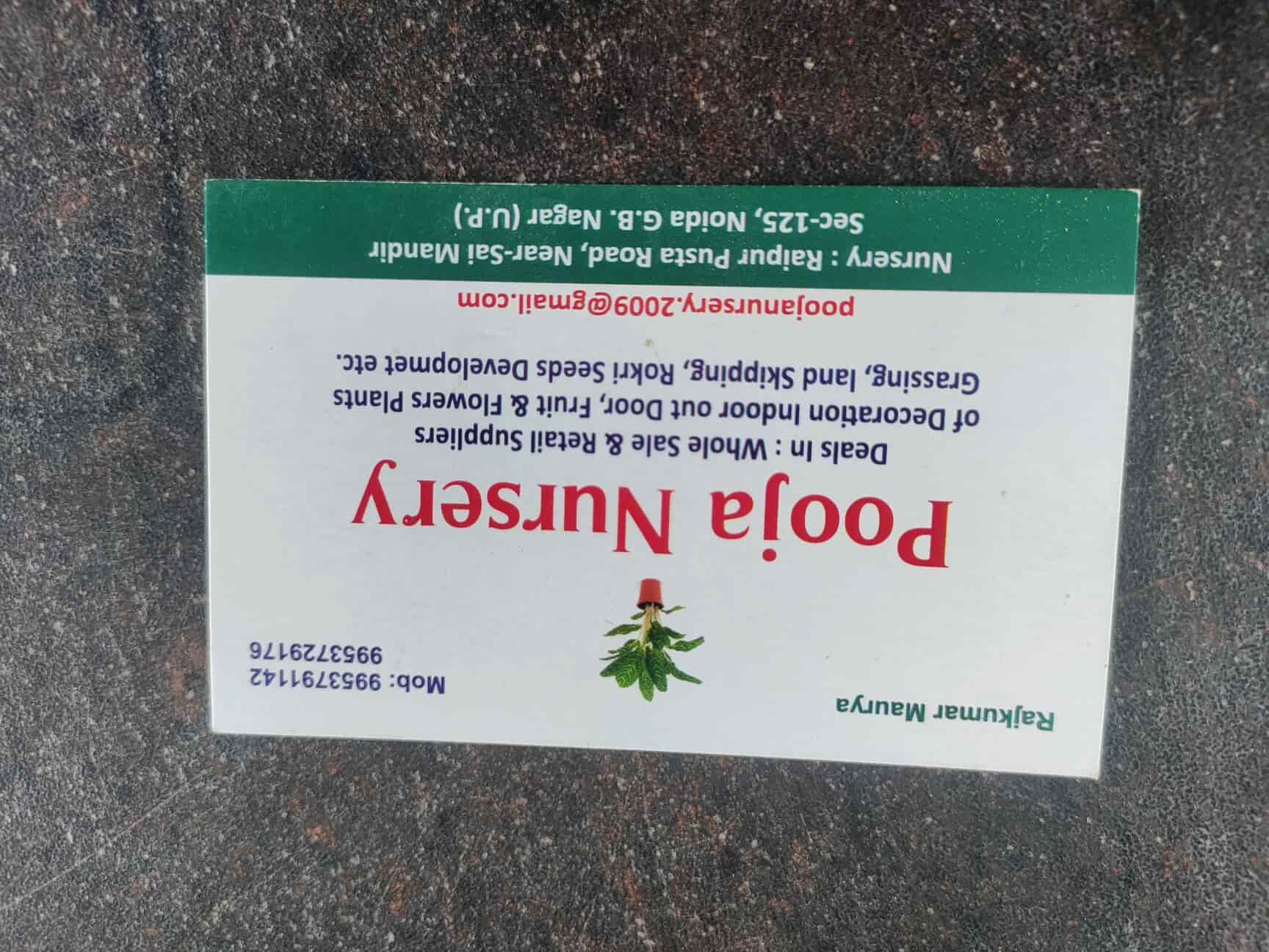 Top Plant Nurseries near Noida Sector 18 Metro StationNoida Sector 18