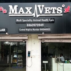 Dog hospital in hot sale rohini