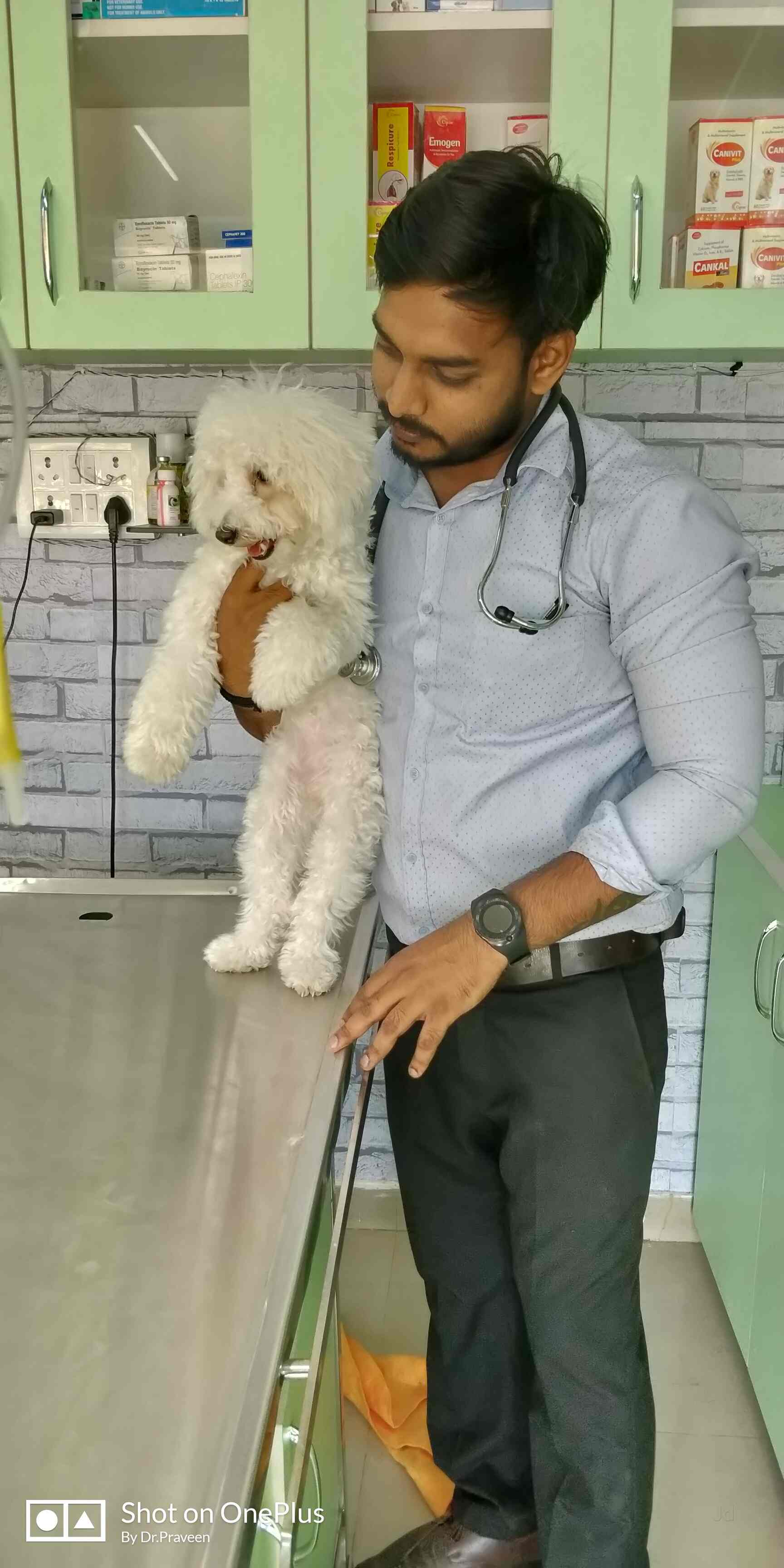 little paws pet clinic