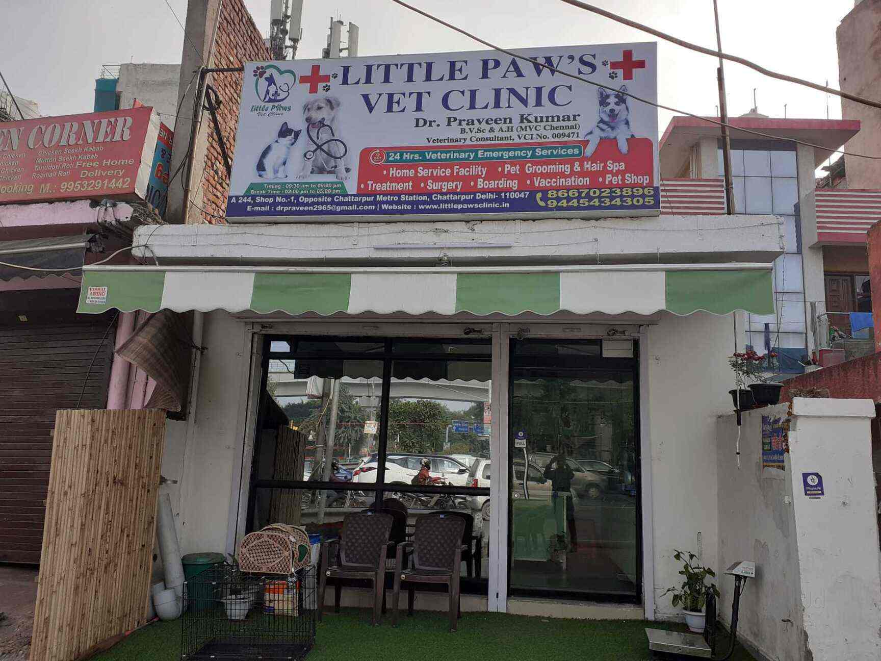 little paws pet clinic