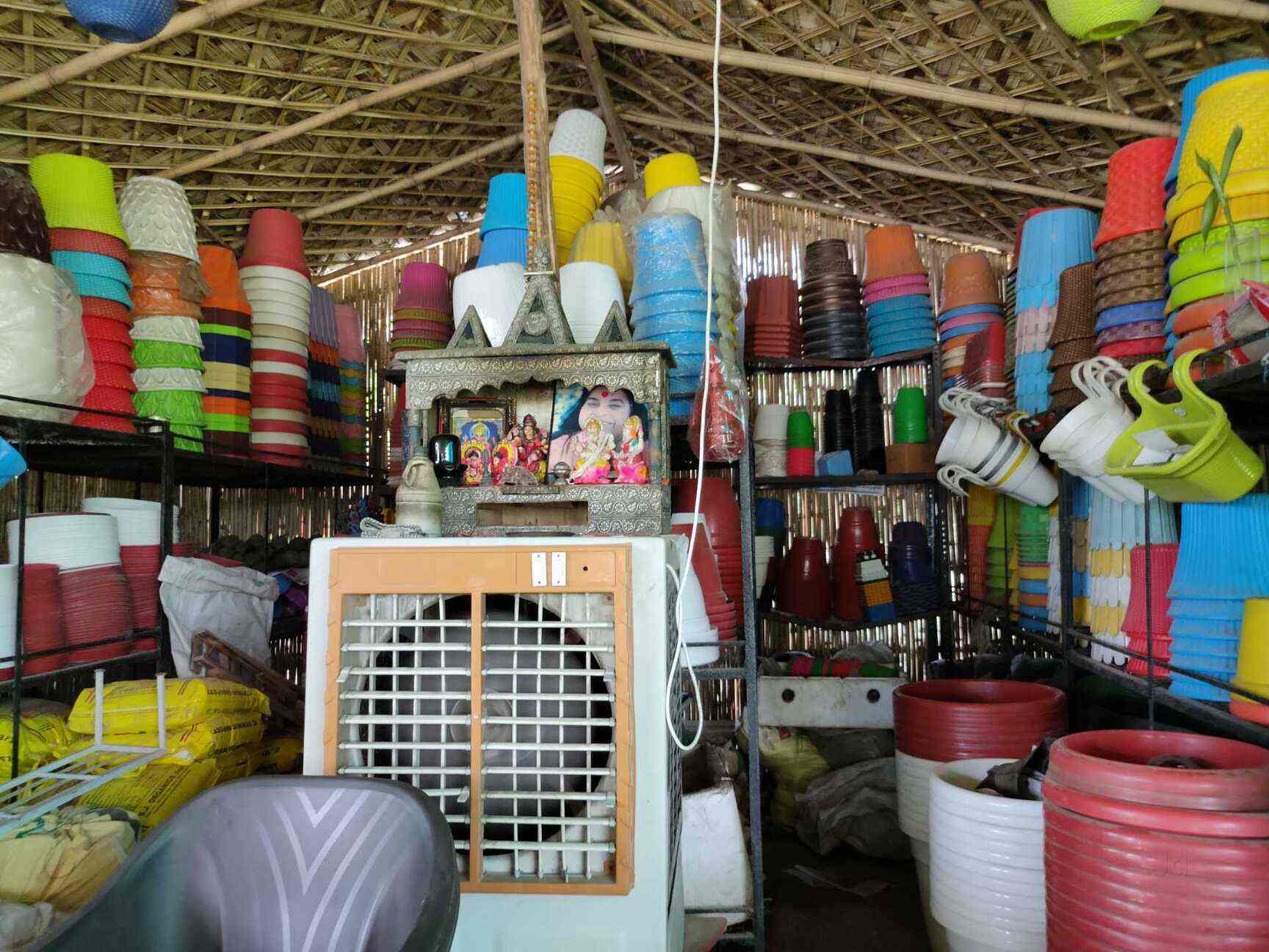 Top Plant Nurseries near Saini EnclaveAnand Vihar,Delhi Best