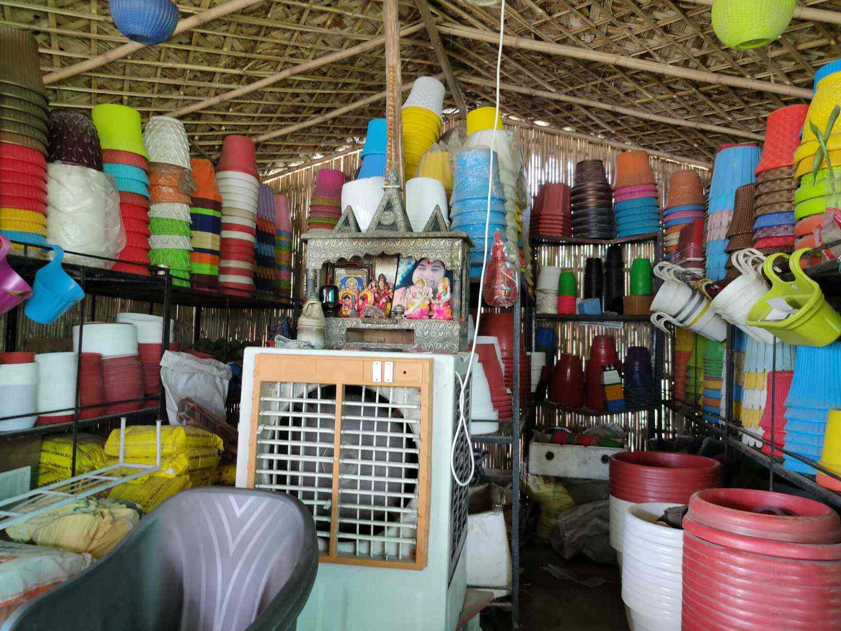 Top Plant Nurseries near Saini EnclaveAnand Vihar,Delhi Best