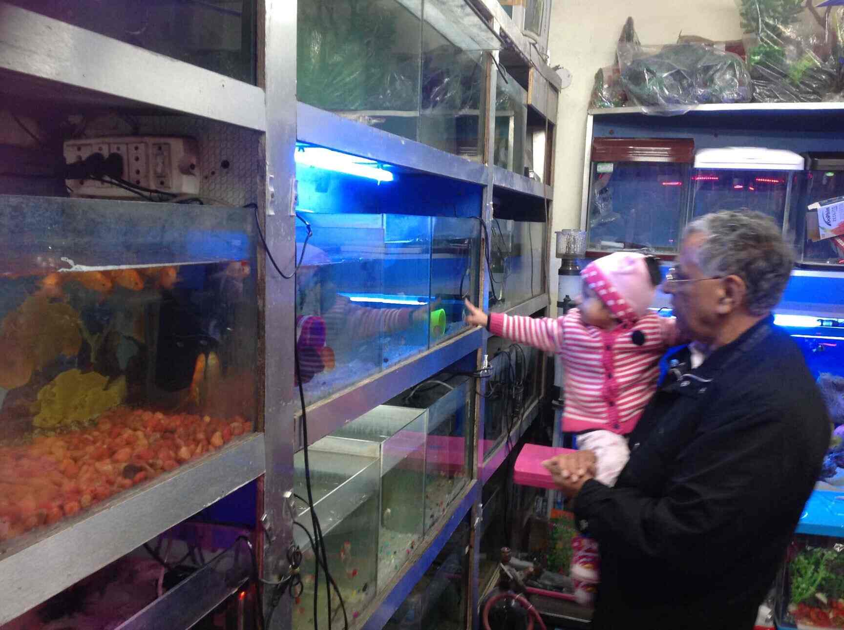 Fish Zone in Ishwar NagarNew Friends Colony,Delhi Best Aquarium