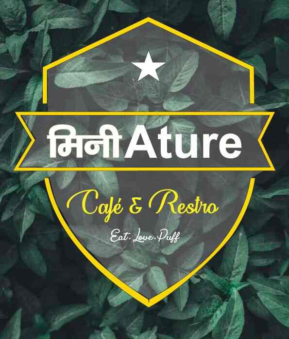 Miniature ( Hookah Cafe & Restaurant) in Laxmi Nagar,Delhi Best