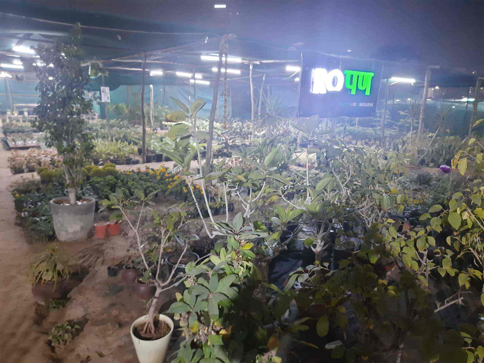 Top Plant Nurseries near Noida Sector 18 Metro StationNoida Sector 18