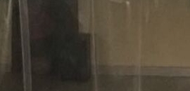 Natraj Musical & Dance Academy in Amrit Puri-East Of Kailash, delhi