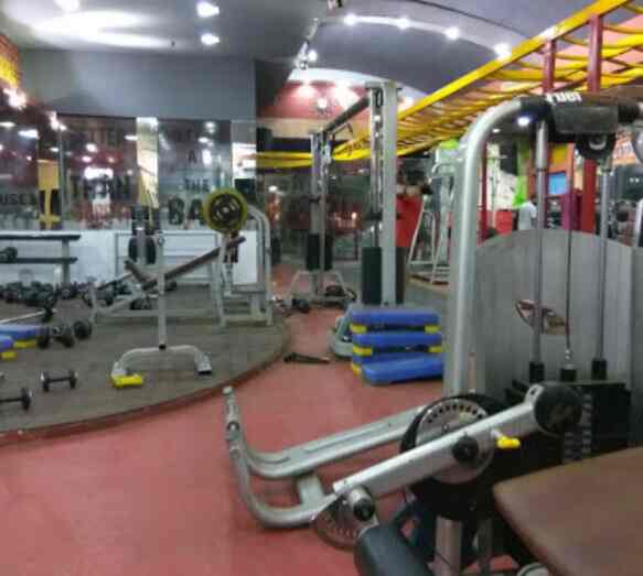 The World Gym in West Punjabi Bagh,Delhi Best Gyms in Delhi Justdial