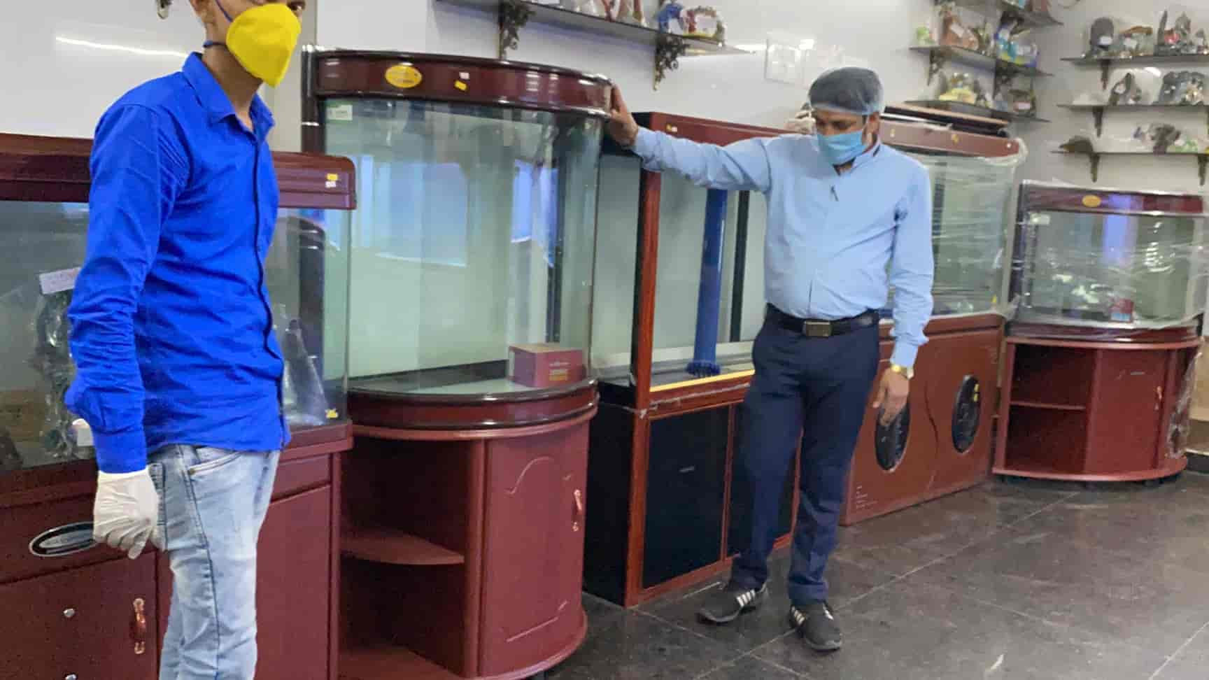 Fish Aquarium Home, Laxmi Nagar Aquarium Fish Dealers in Delhi Justdial