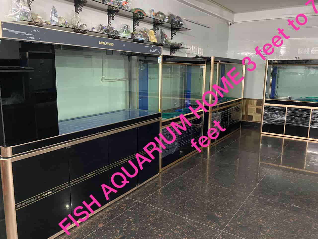Top Aquariums in Geeta Colony Best Fish Tank Dealers near me Justdial