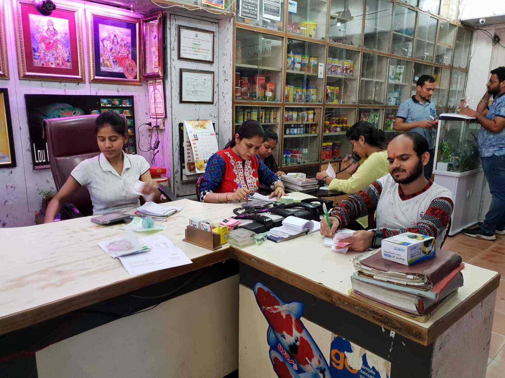 fish home laxmi nagar