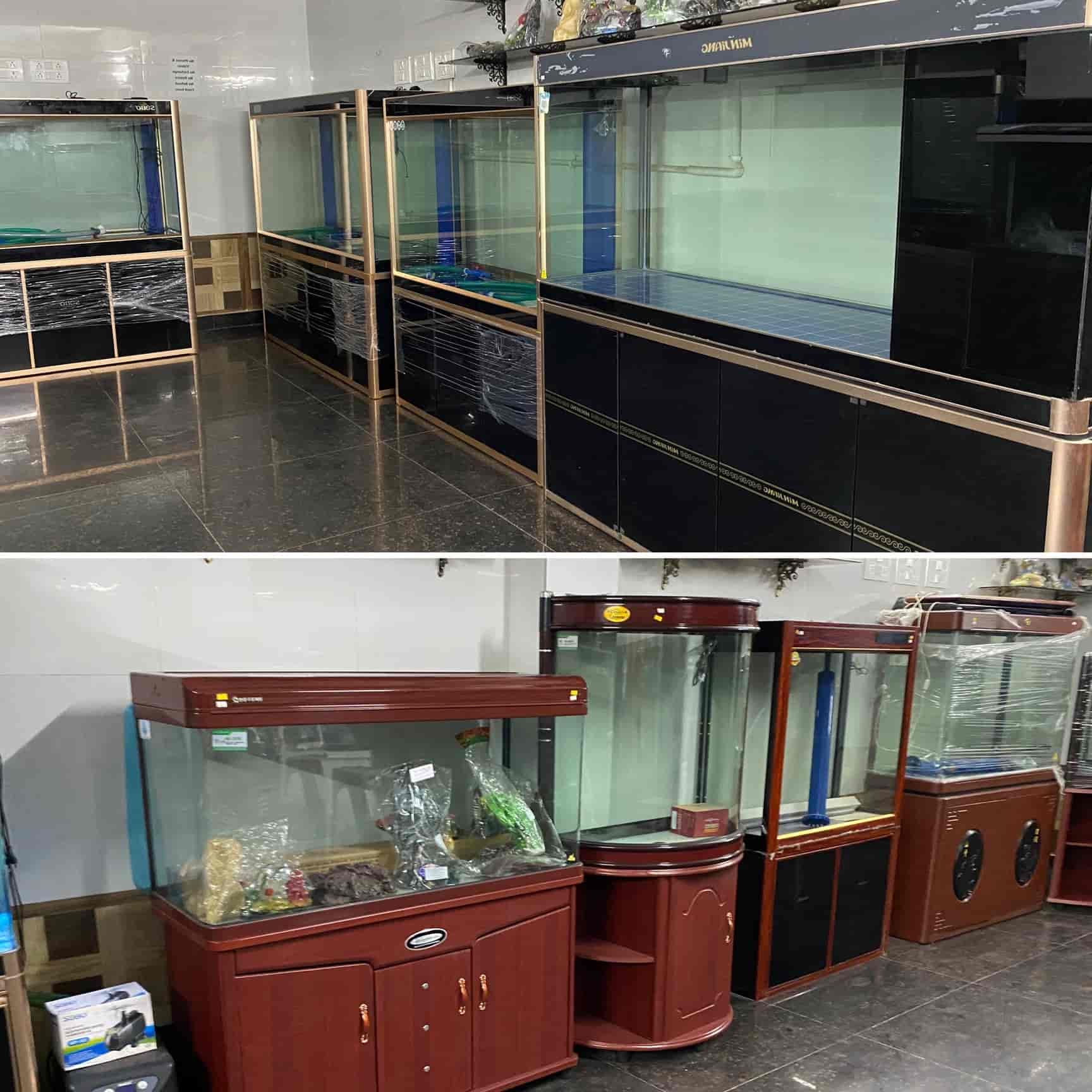 Top Aquariums in Geeta Colony Best Fish Tank Dealers near me Justdial