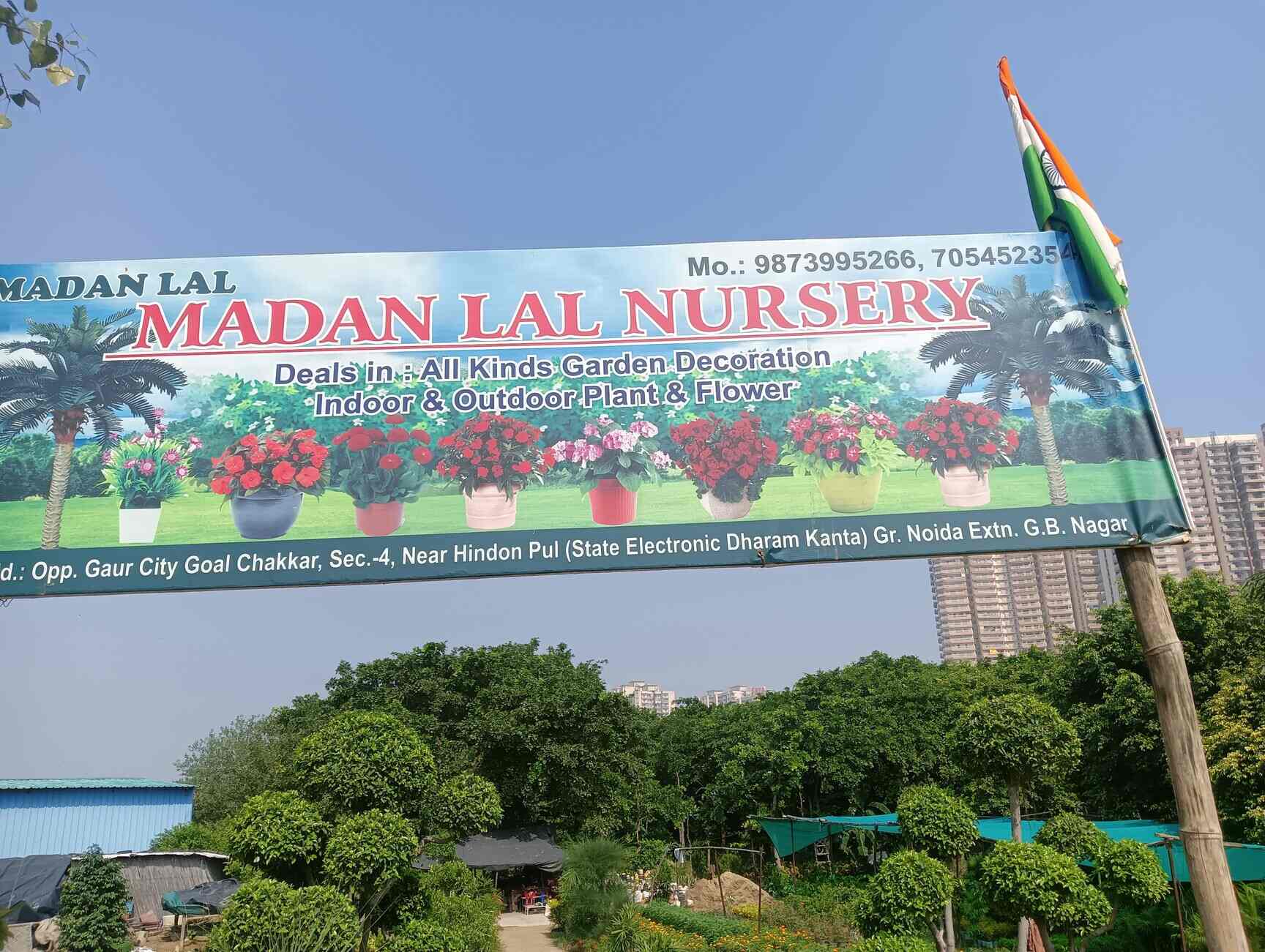 Top Green Tree Nursery Plant Nurseries in Delhi Best Green Tree