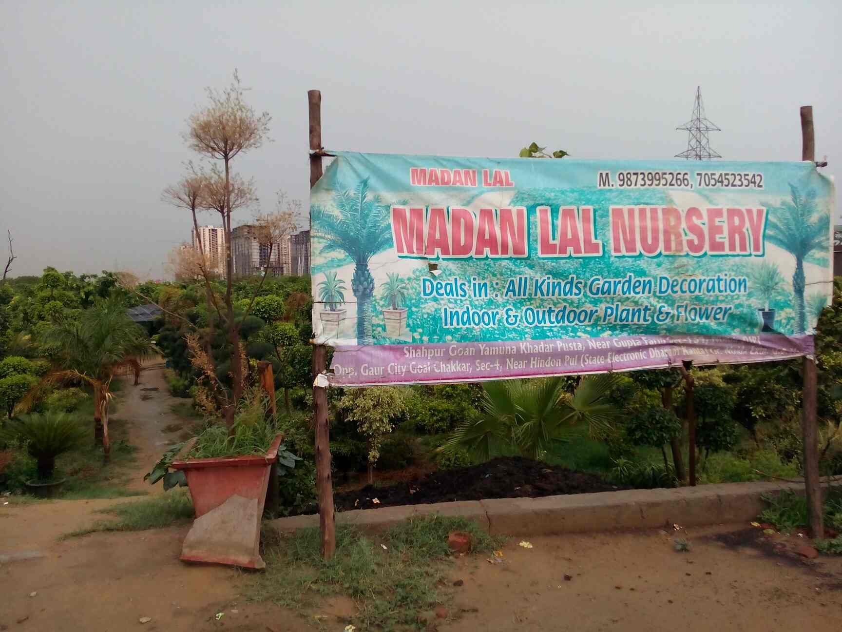 Top Abana Homes Plant Nurseries in Delhi Best Abana Homes Plant