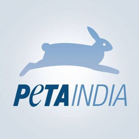 Peta INDIA Helpline in New Delhi,Delhi - Best Animal Rescue Services in Delhi - Justdial Peta INDIA Helpline in New Delhi,Delhi - Best Animal Rescue Services in Delhi - Justdial