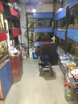 Bird shop in dwarka online