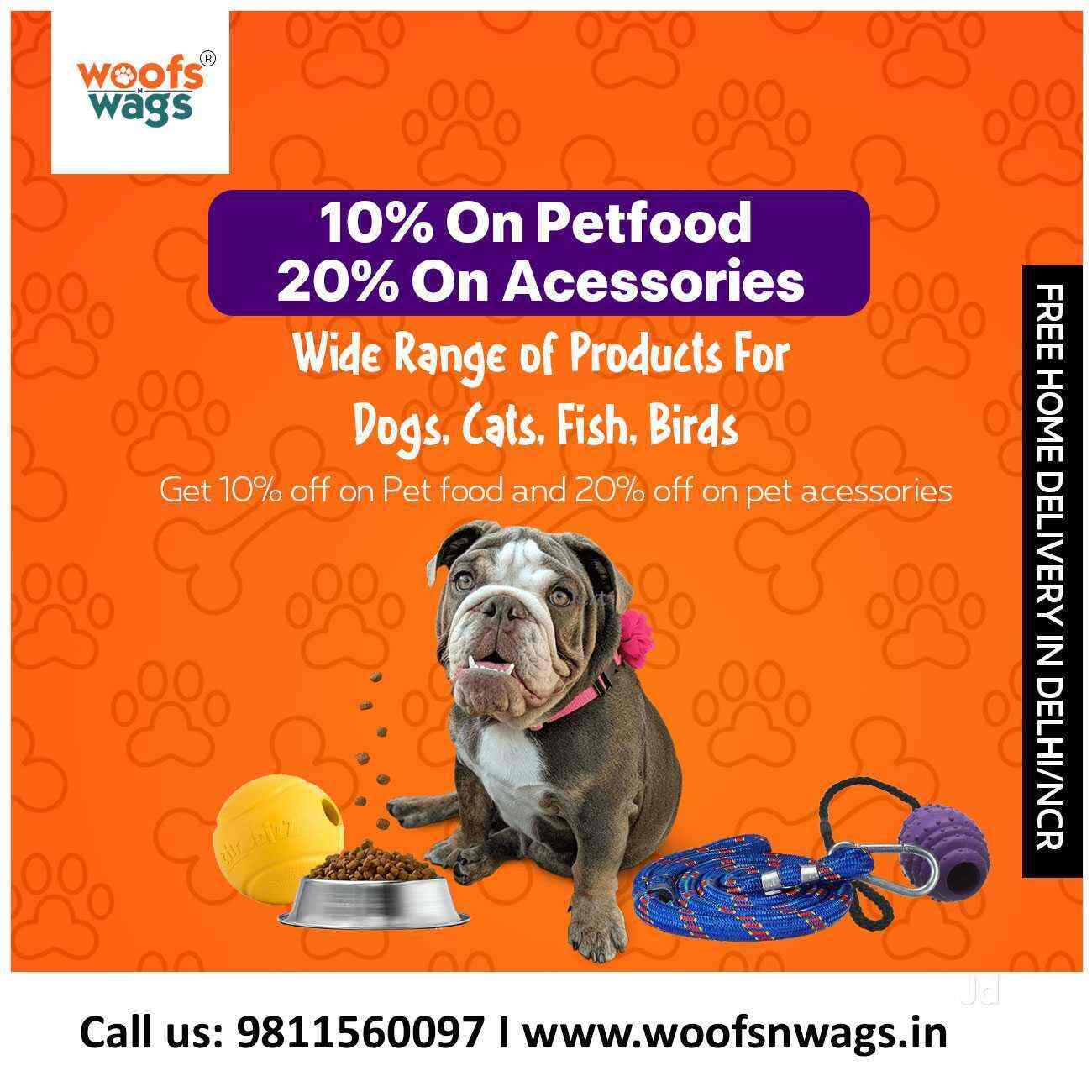 Top Pet Shops in Delhi Best Pet Store near me Justdial