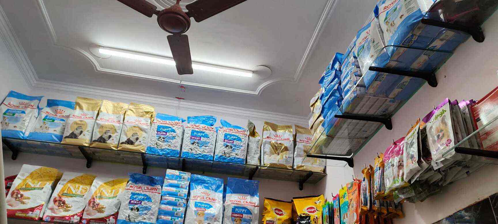 Little Paws Pet Shop (Closed Down) in Faridabad,Delhi Best in Delhi